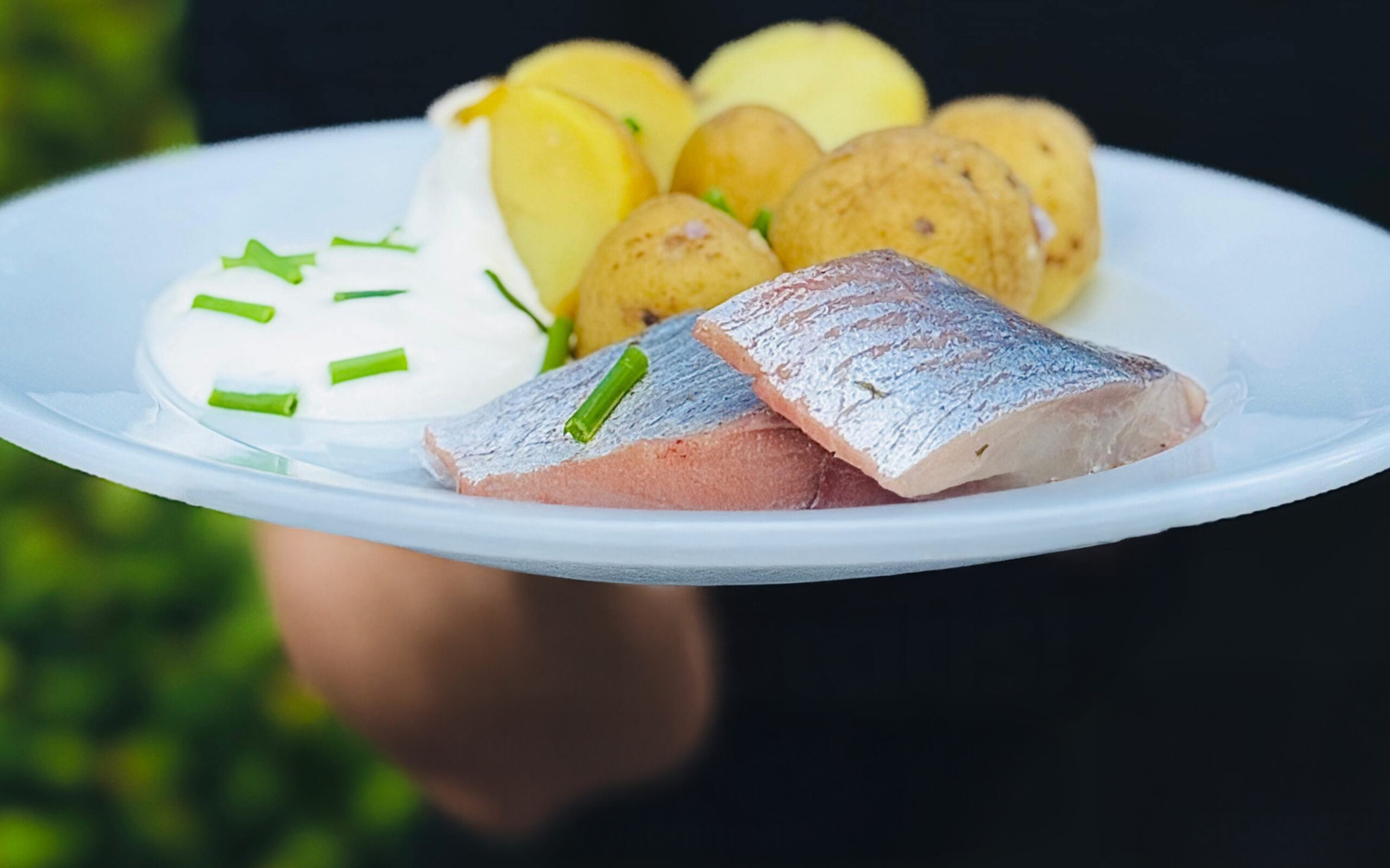 ICA Maxi bjuder på sill och potatis